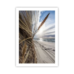 Poszter - Az elemek találkozása - 50x70 cm