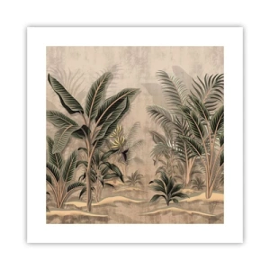 Poszter - Gyarmati stílusú metszet - 40x40 cm