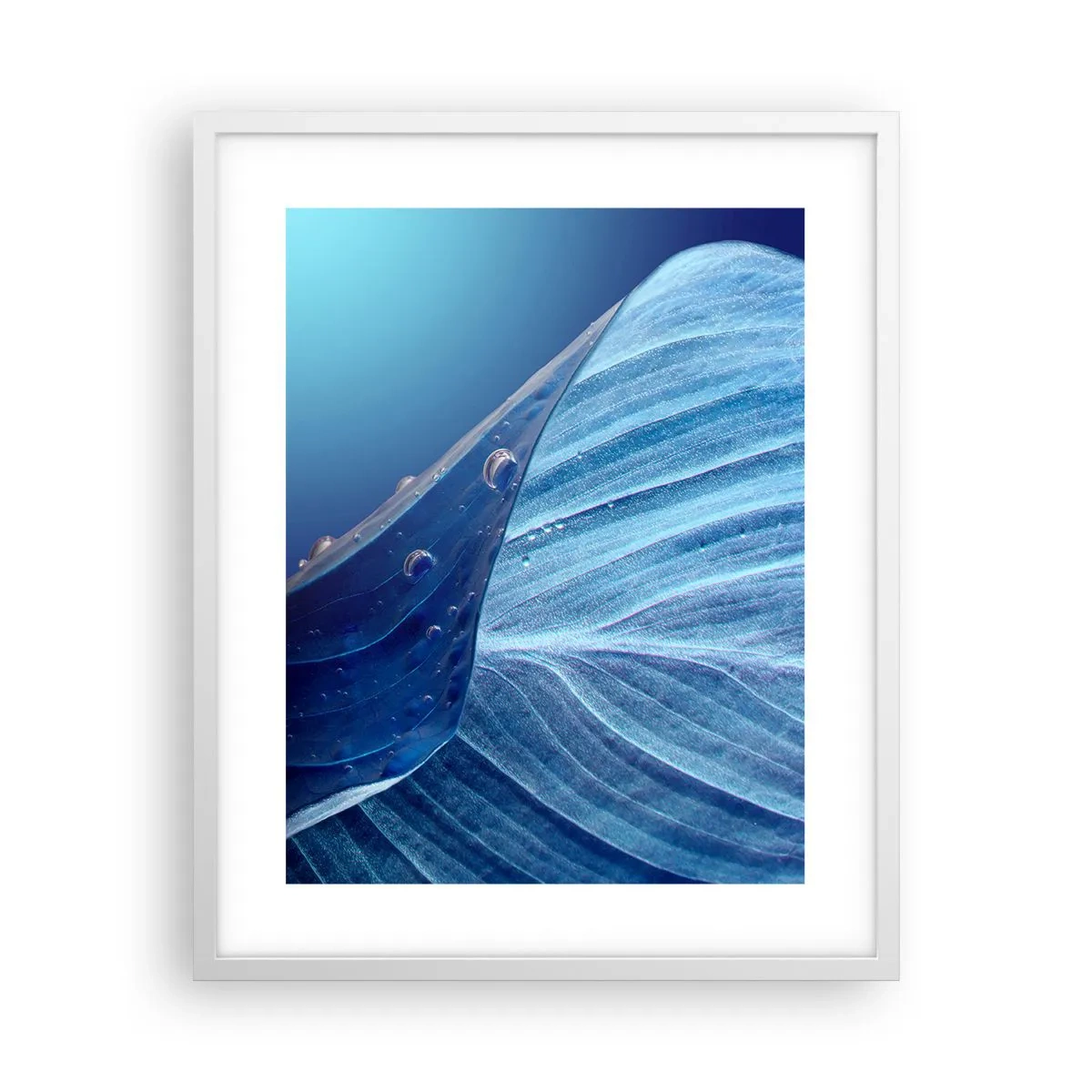 Poszter fekete keretben - A kék rejtett cseppjei - 40x50 cm