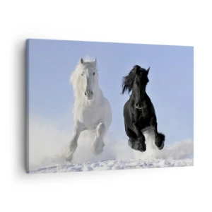 Vászonkép - Egy fehér és egy fekete ló vágtat a hóban - 70x50cm - Fekete-fehér galopp - Modern fali dekoráció nappalihoz és hálószobához ARTTOR