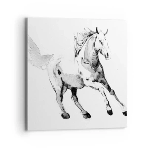 Vászonkép - Megszelídíthetetlen lélek - 70x70 cm