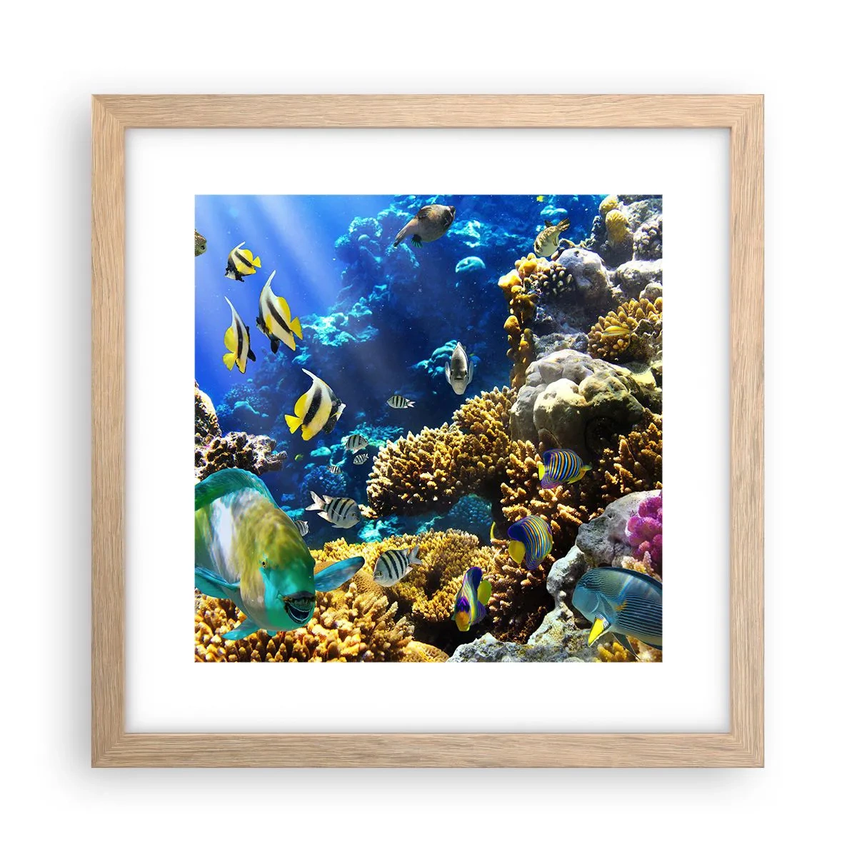 Poszter világos tölgy keretben - Nagy forgalom a nyaraló ösvényen - 30x30 cm