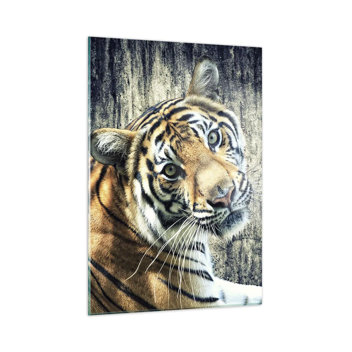 Üveg kép - Portré a fénysugárban - 50x70 cm