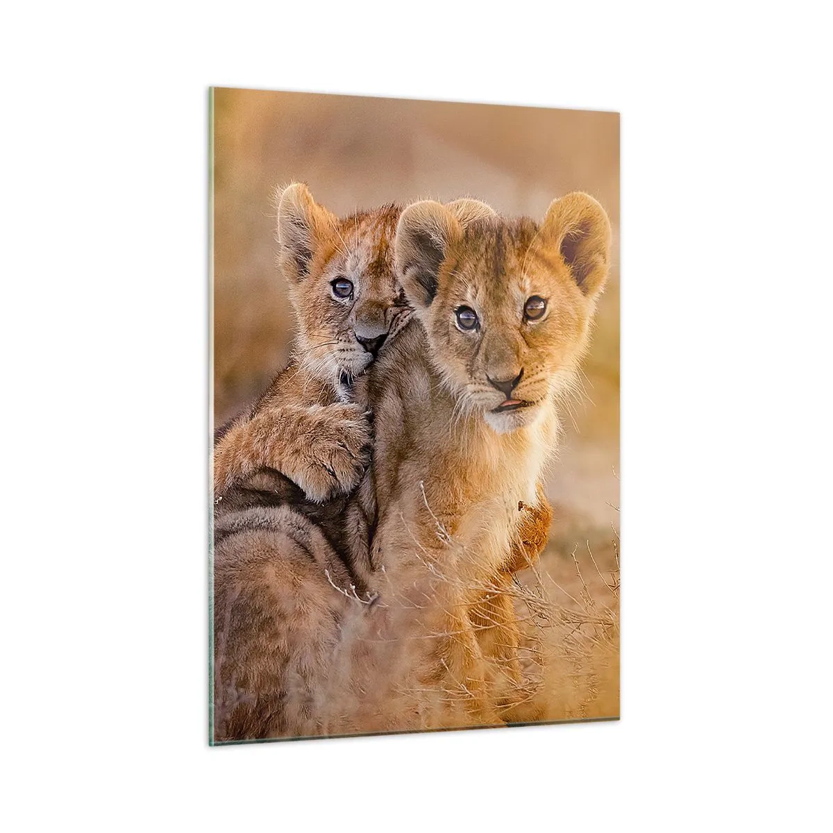 Üveg kép - Ne zavarni! Szórakozunk - 50x70 cm