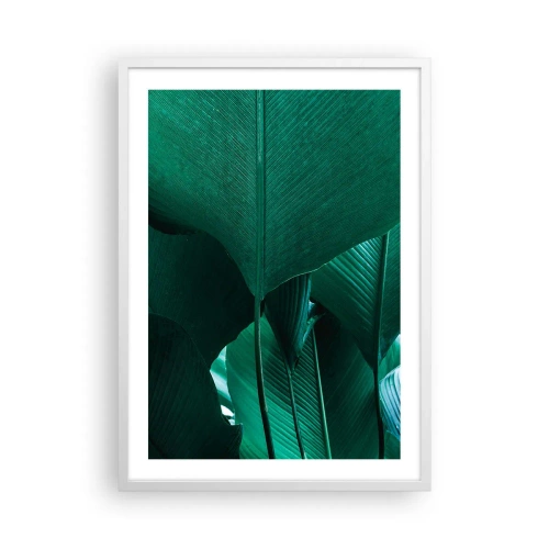 Poszter fekete keretben - A fény felé nézve - 50x70 cm