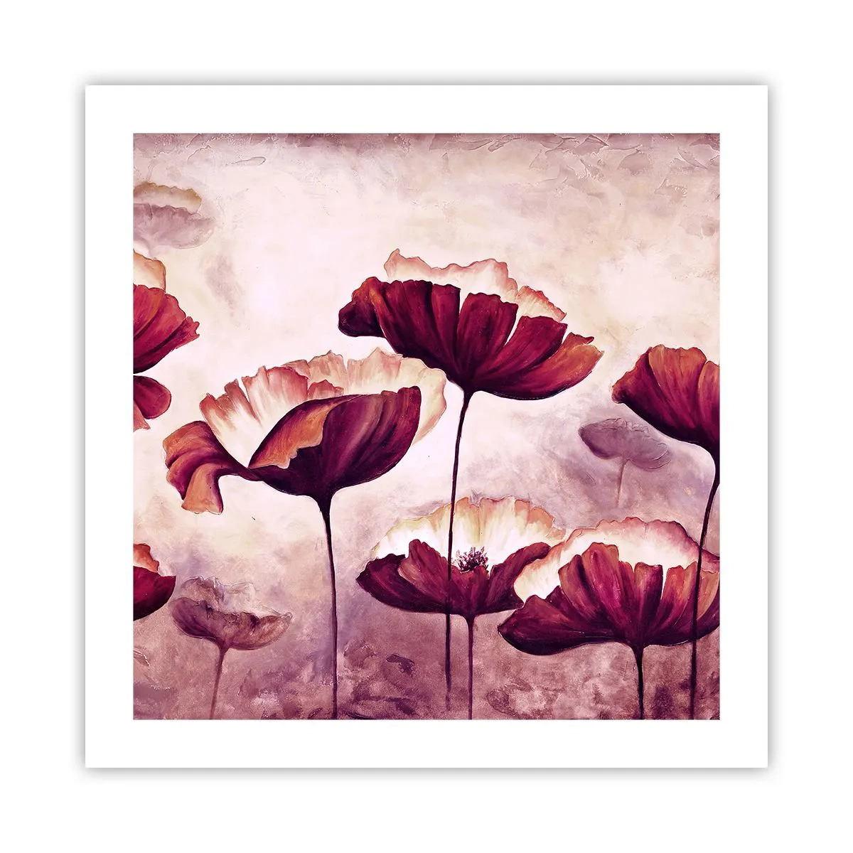 Poszter - Piros és fehér szirom - 50x50 cm