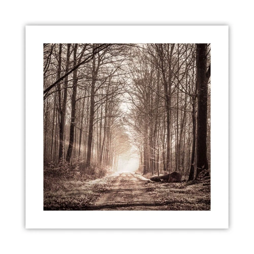 Poszter - Erdei katedrális - 40x40 cm