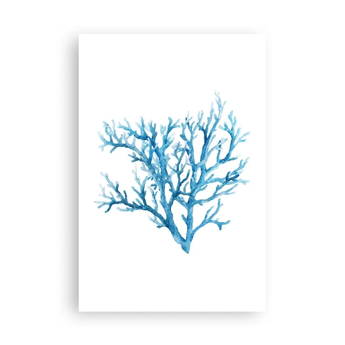 Poszter - Tengeri filigrán - 61x91 cm