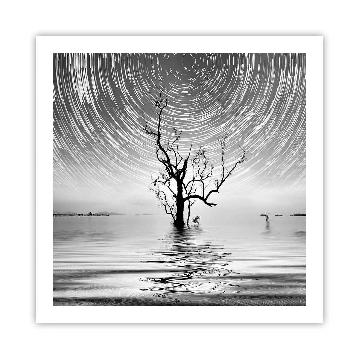 Poszter - A természet szimfóniája - 60x60 cm