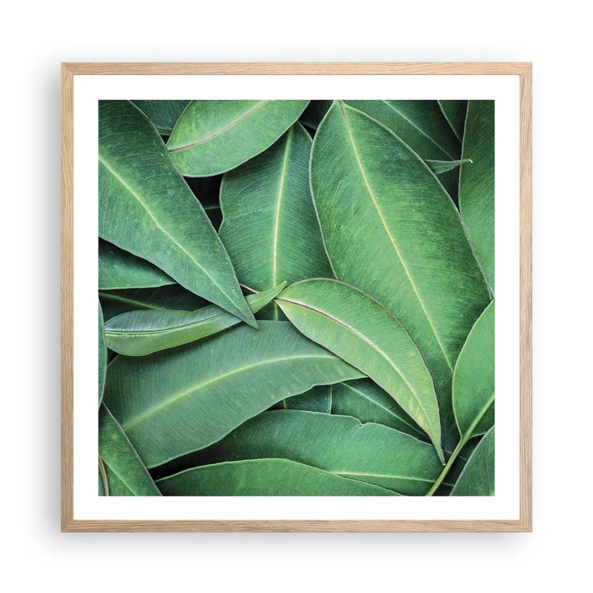 Poszter világos tölgy keretben - Lédús és friss - 60x60 cm