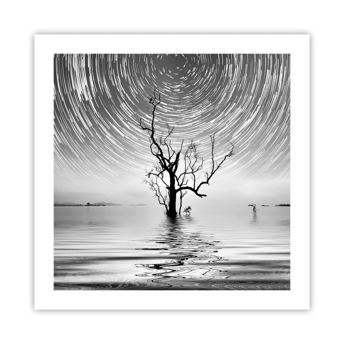 Poszter - A természet szimfóniája - 50x50 cm