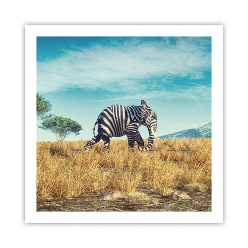 Poszter - A szürke már nem menő - 60x60 cm