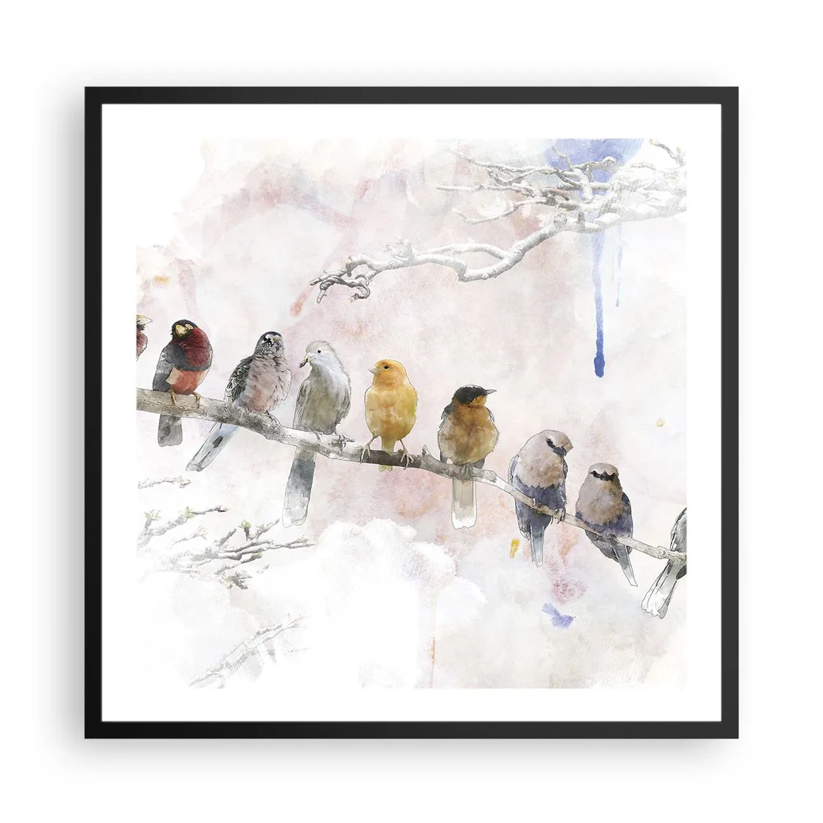 Poszter fehér keretben - Szárnyas találkozó - 60x60 cm