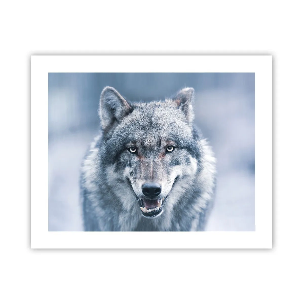 Poszter - Vállalod a kihívást? - 50x40 cm