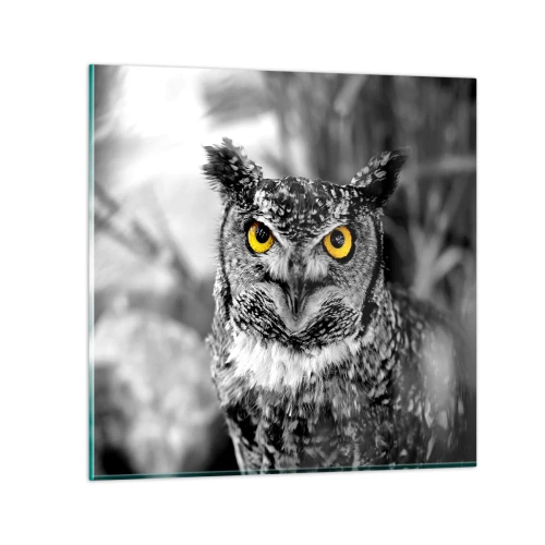 Üveg kép - Semmi sem fog elbújni - 40x40 cm