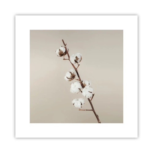 Poszter - A puhaság forrásánál - 30x30 cm