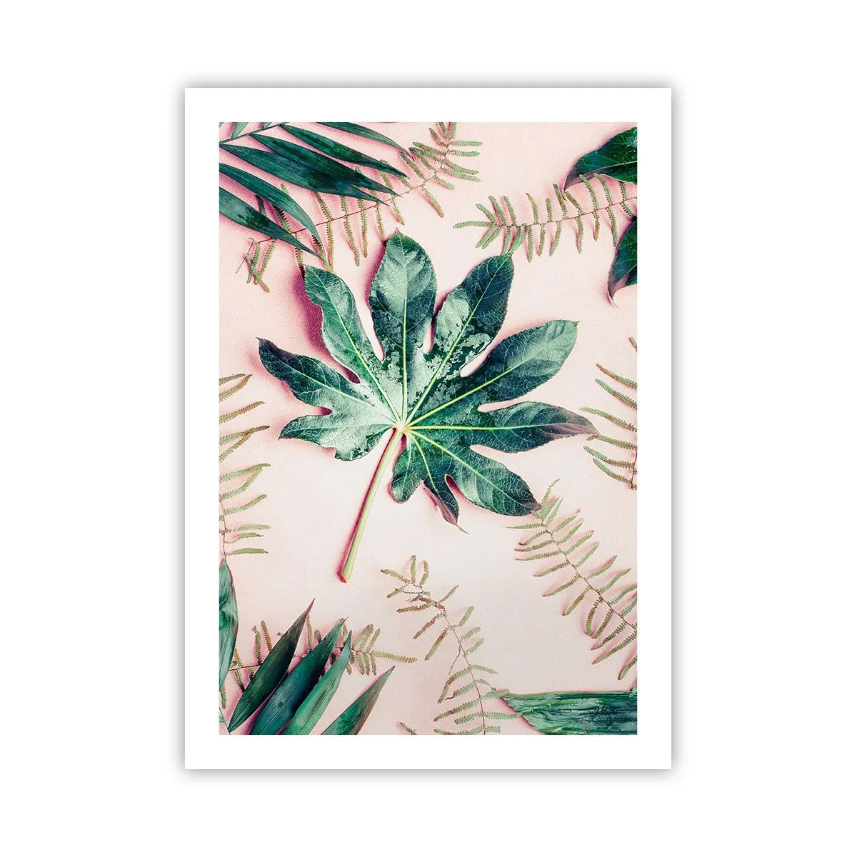 Poszter - A zöld tanulmánya a rózsaszín háttérben - 50x70 cm