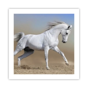 Poszter - A legszebb arab tündérmese - 50x50 cm