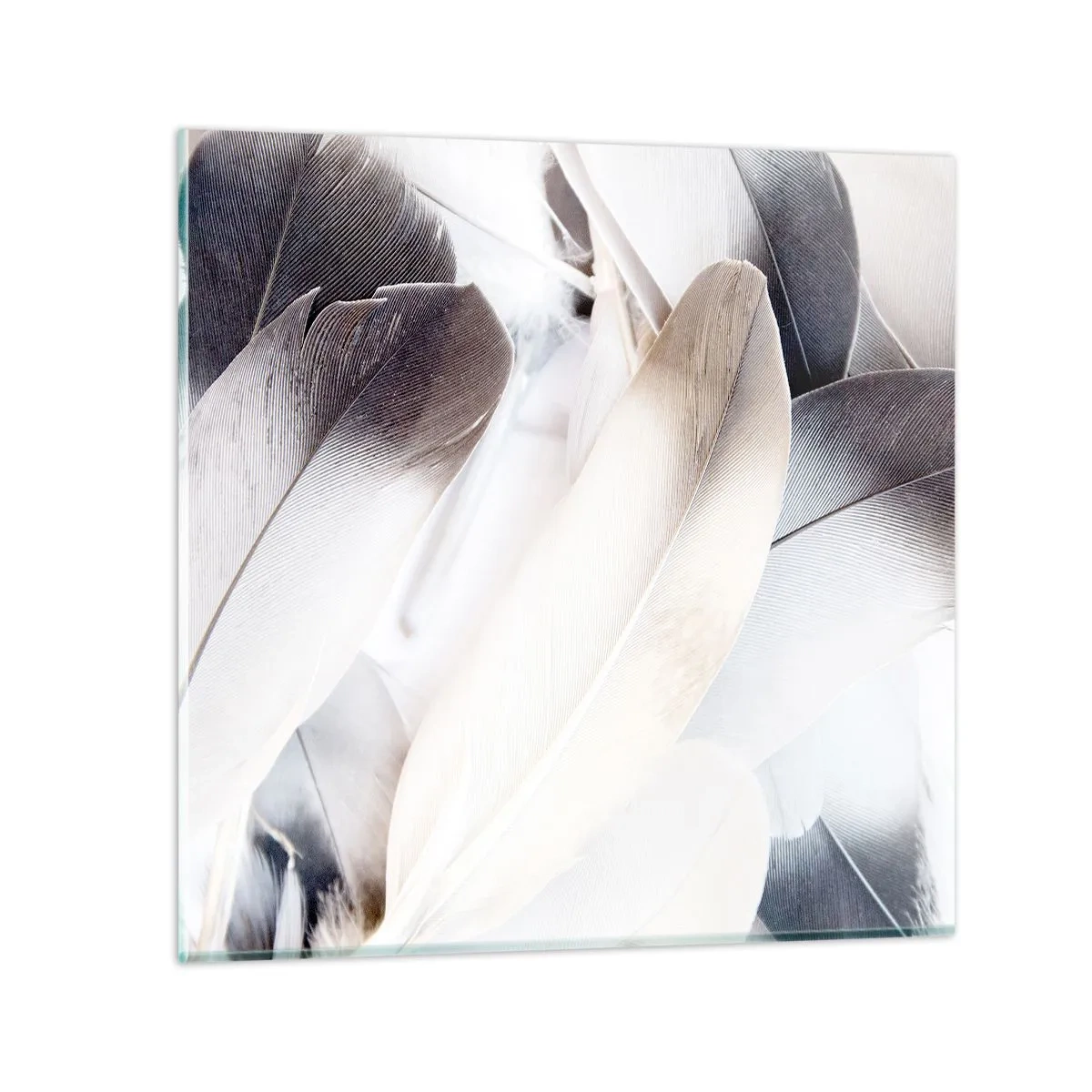 Üveg kép - Szinte angyali - 60x60 cm