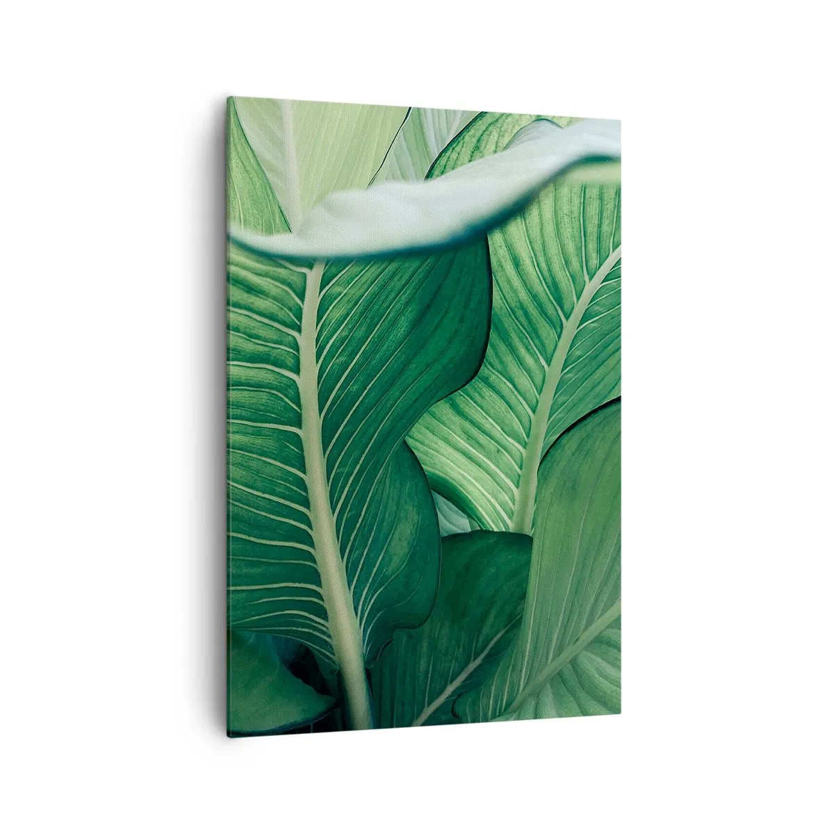 Vászonkép - Intenzíven zöld élet - 70x100 cm