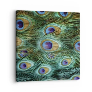 Vászonkép - Pávaszemű pillantás - 30x30 cm
