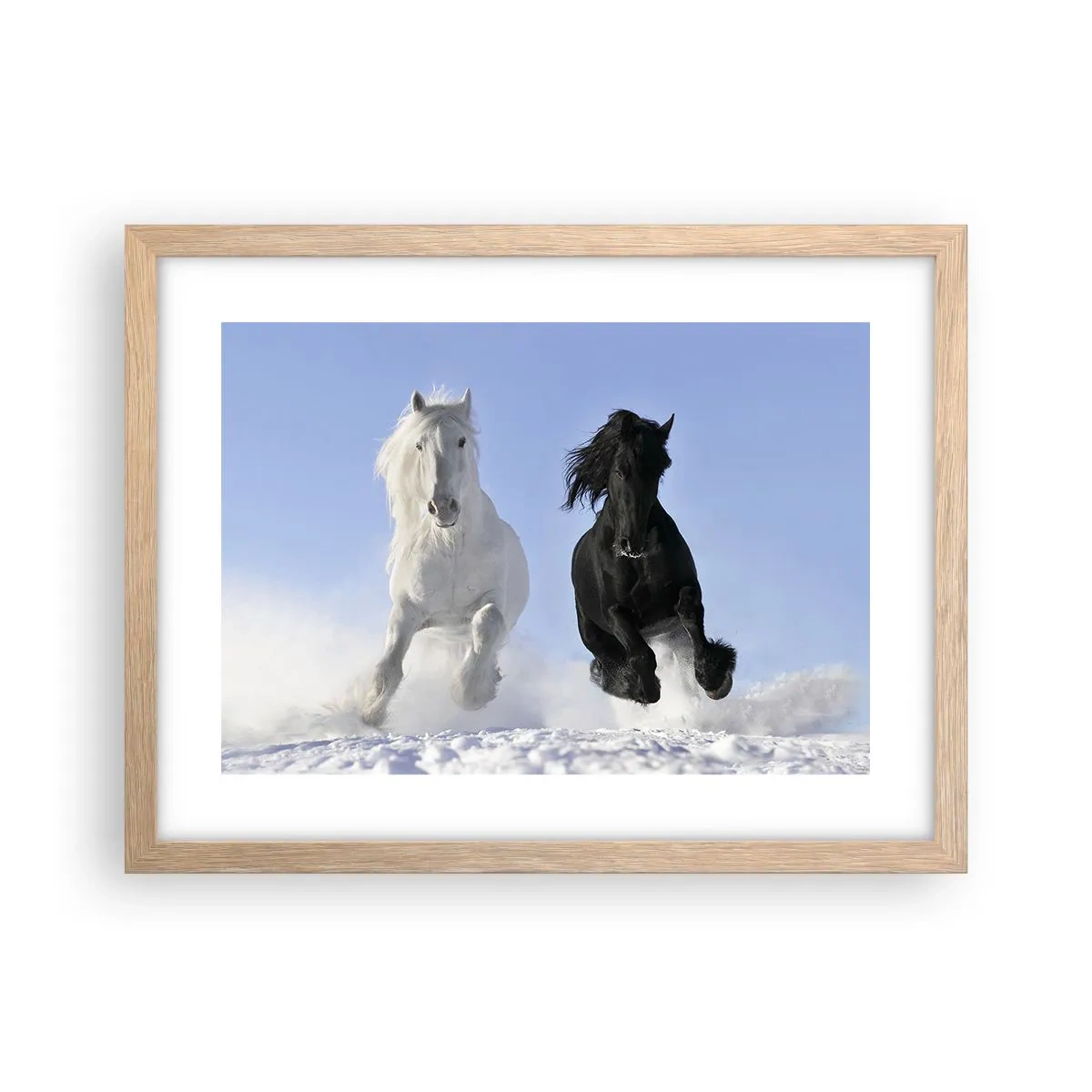 Poszter világos tölgy keretben - Fekete-fehér galopp - 40x30 cm