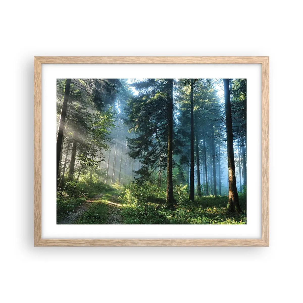 Poszter világos tölgy keretben - Sugárzó reggel - 50x40 cm