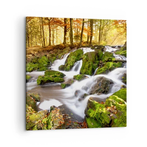 Vászonkép - Gyorsan át az őszi erdőn - 50x50 cm