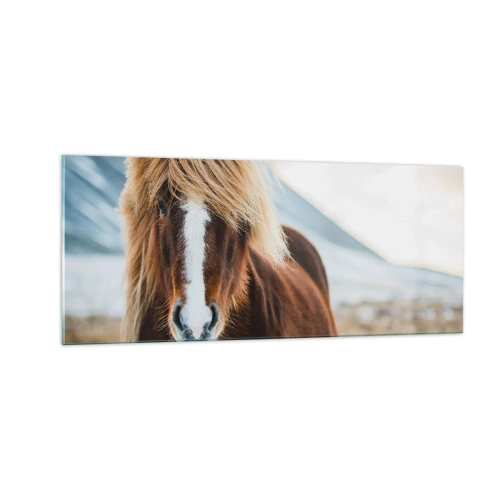 Üveg kép - Érzed a szabadságot? - 100x40 cm