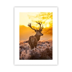 Poszter - Az őszi erdő királya - 30x40 cm