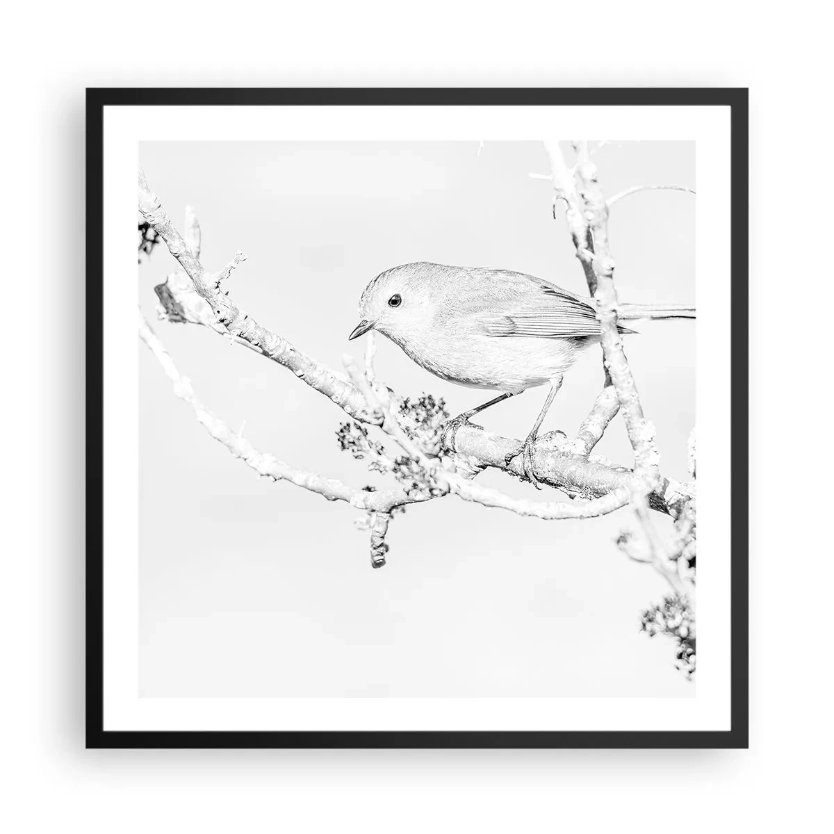 Poszter fehér keretben - Téli reggel - 60x60 cm