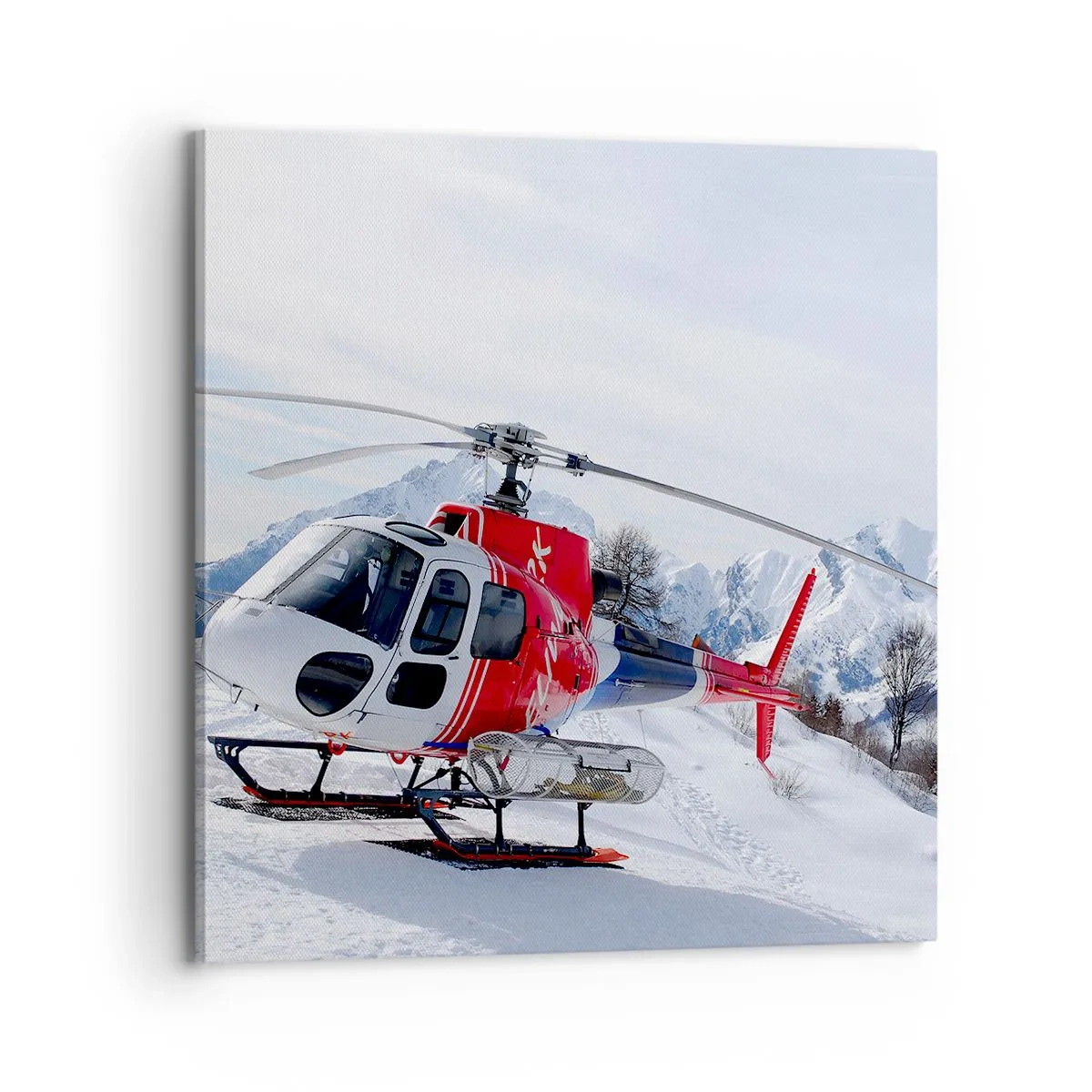 Vászonkép - Mindig készen - 70x70 cm