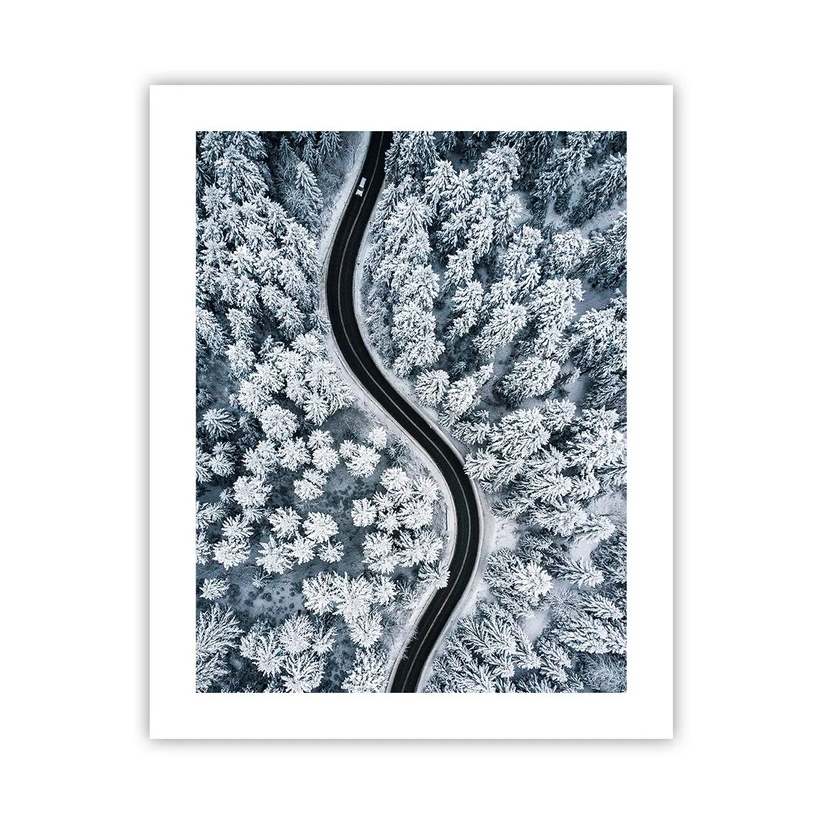 Poszter - A téli erdőn - 40x50 cm
