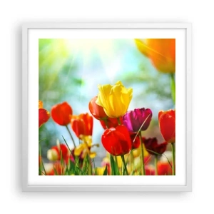 Poszter fekete keretben - A nap minden színe - 50x50 cm