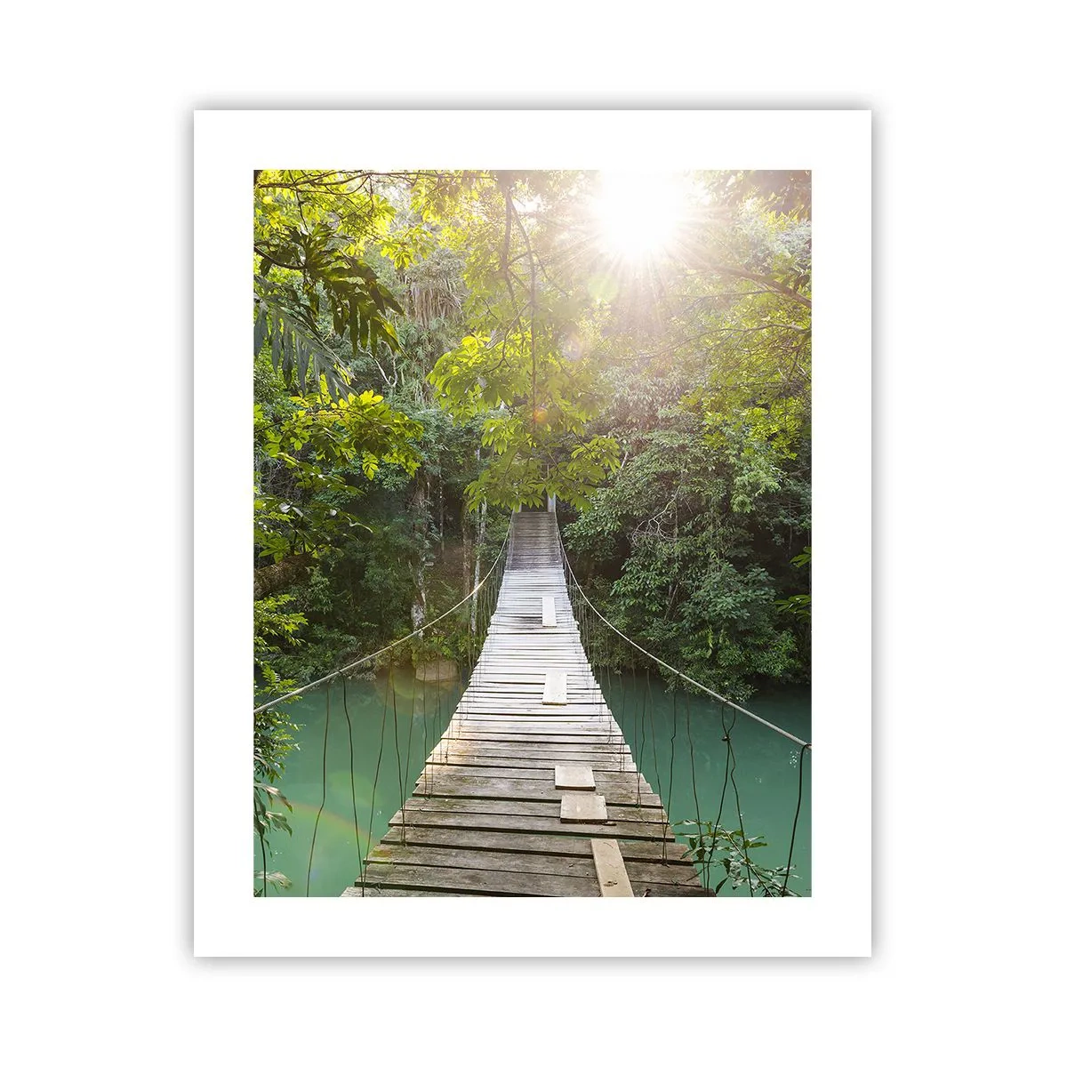 Poszter - Az azúrkék vízen át az azúrkék erdőbe - 40x50 cm