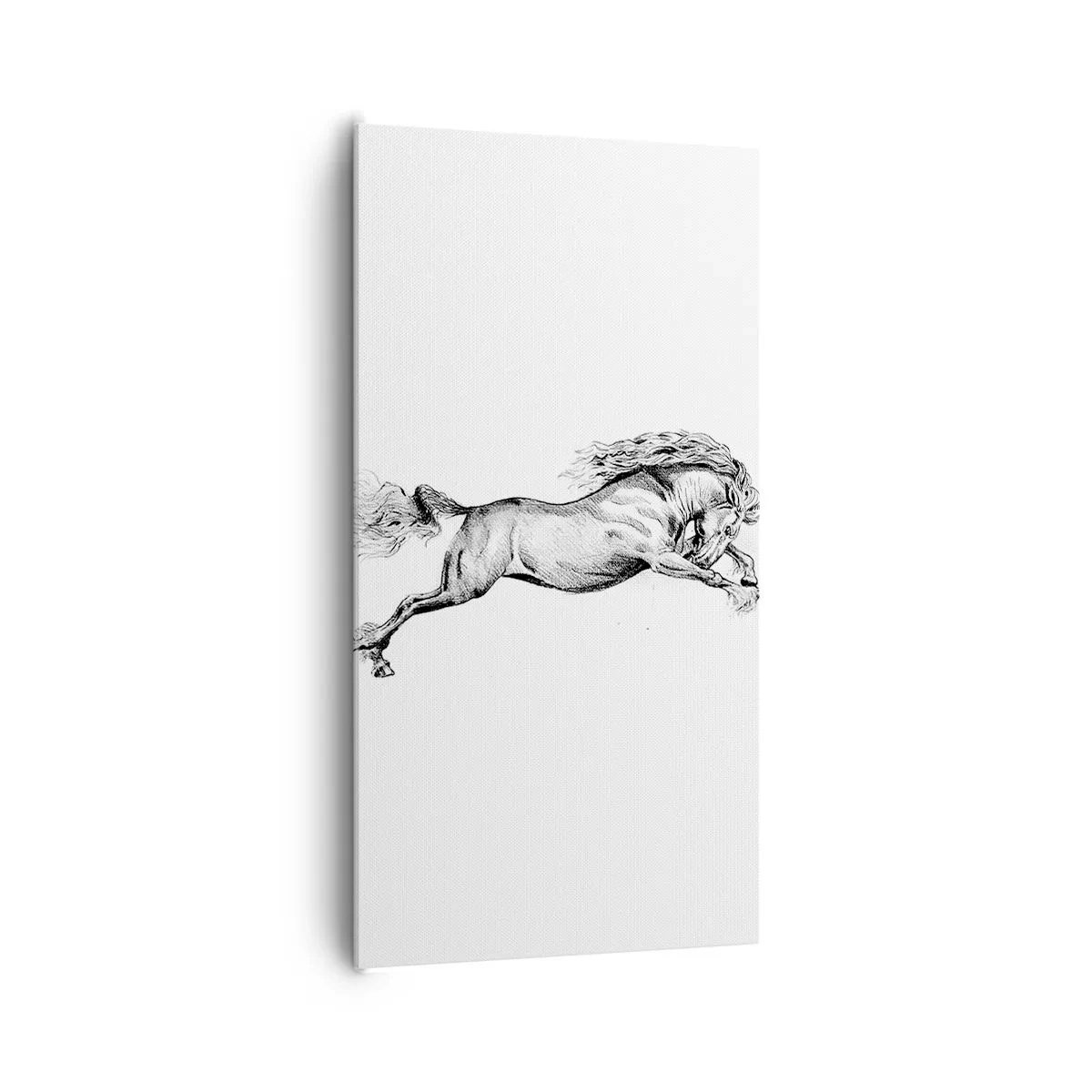 Vászonkép - Vágtában megállítva - 65x120 cm