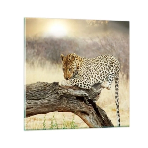 Üveg kép - A magam útjait járom - 60x60 cm