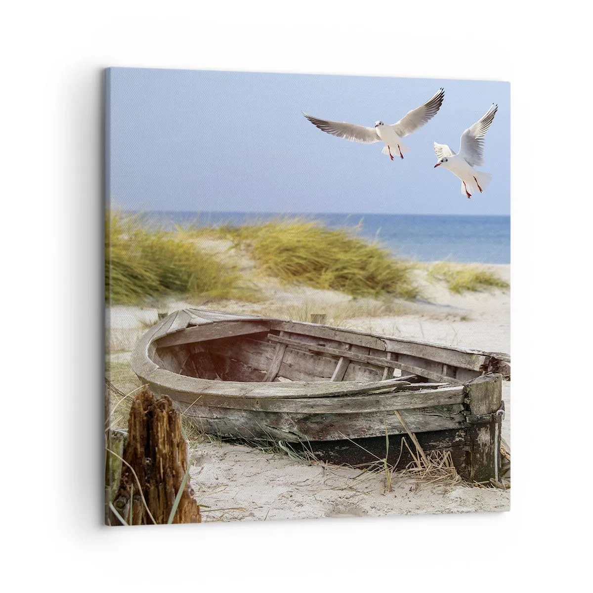 Vászonkép - Szélben fürödve - 50x50 cm