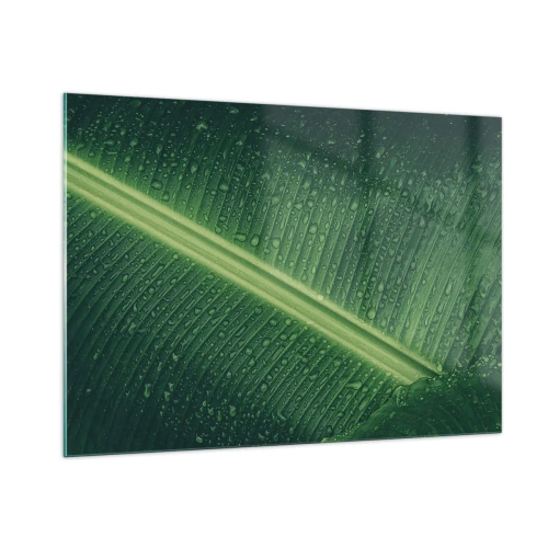 Üveg kép - A növényzet szerkezete - 100x70 cm