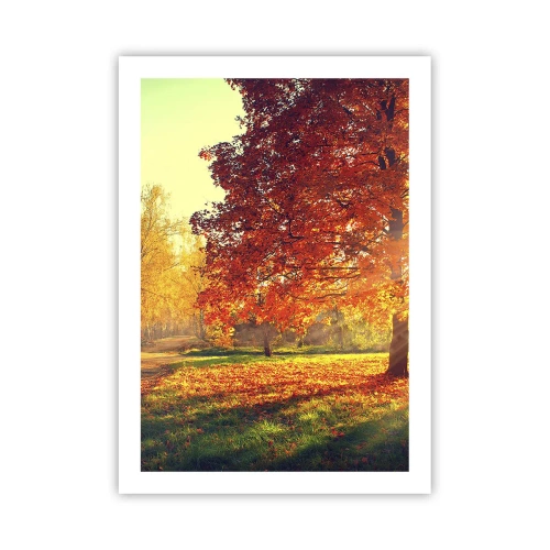 Poszter - A vörös gyönyörű - 50x70 cm