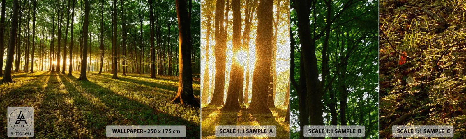 Fotótapéta Minta Premium Sand - Minden tavasz fotója - Tájkép, Erdő, Természet - 100x30 cm