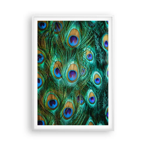 Poszter fekete keretben - Pávaszemű pillantás - 70x100 cm