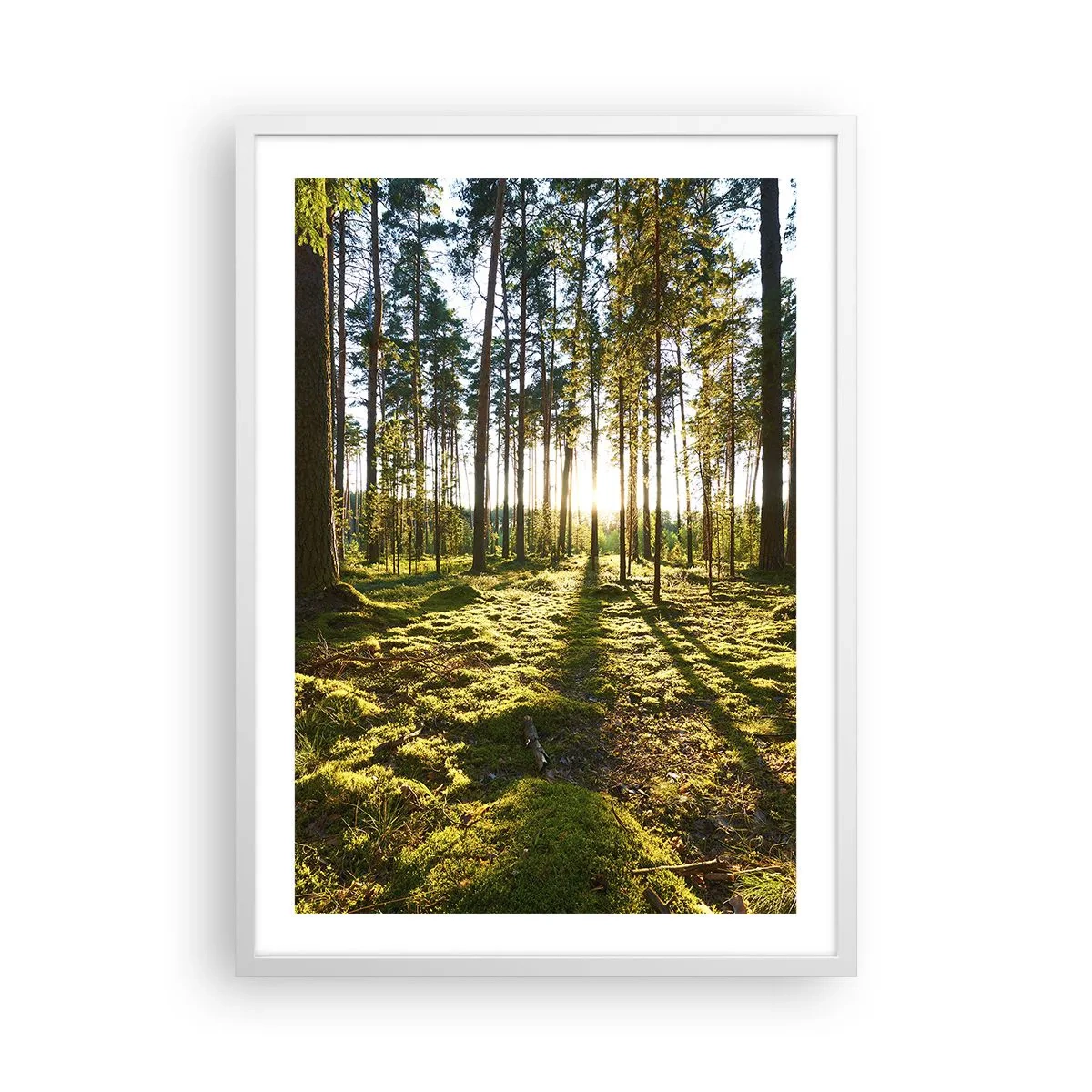 Poszter fekete keretben - … A hét erdőn túl - 50x70 cm