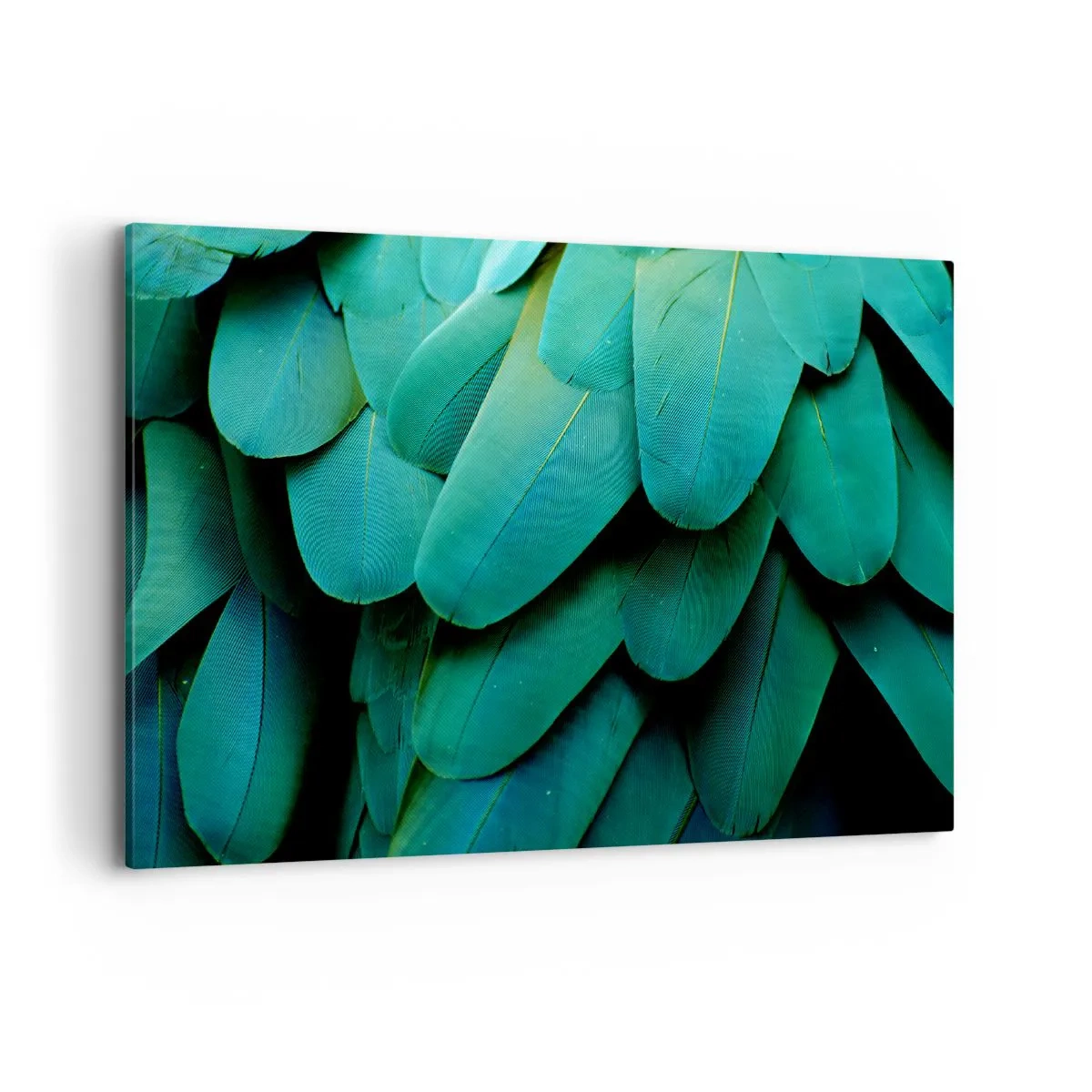 Vászonkép - A papagájtermészet precizitása - 100x70 cm