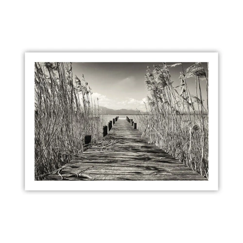 Poszter - A fű csendjében - 70x50 cm