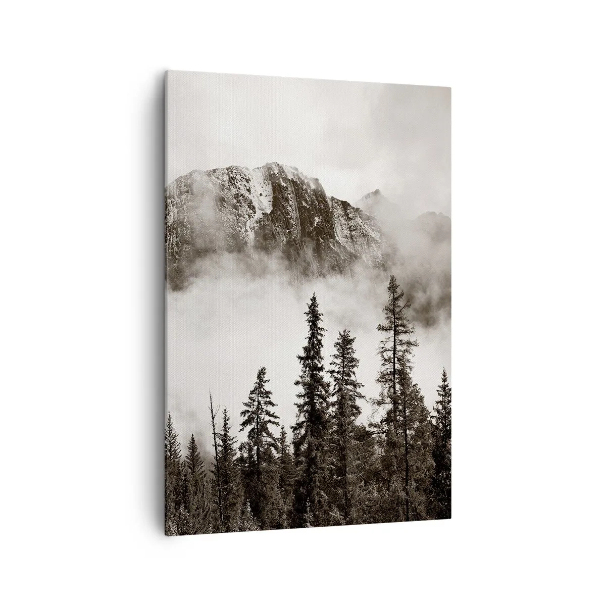 Vászonkép - Gránit uralkodó - 70x100 cm