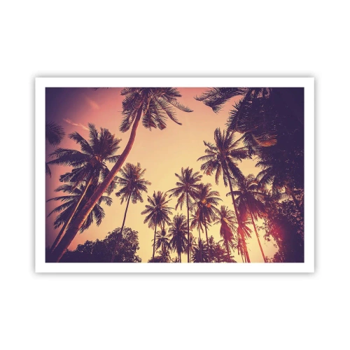 Poszter - Trópusi variáció - 100x70 cm