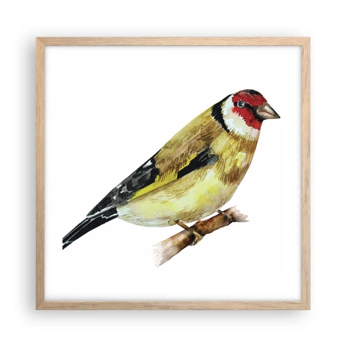 Poszter világos tölgy keretben - Madárportré - 50x50 cm