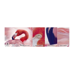 Fotótapéta Minta Premium Canvas - Madári szépség - Flamingó, Madár, Természet - 100x30 cm