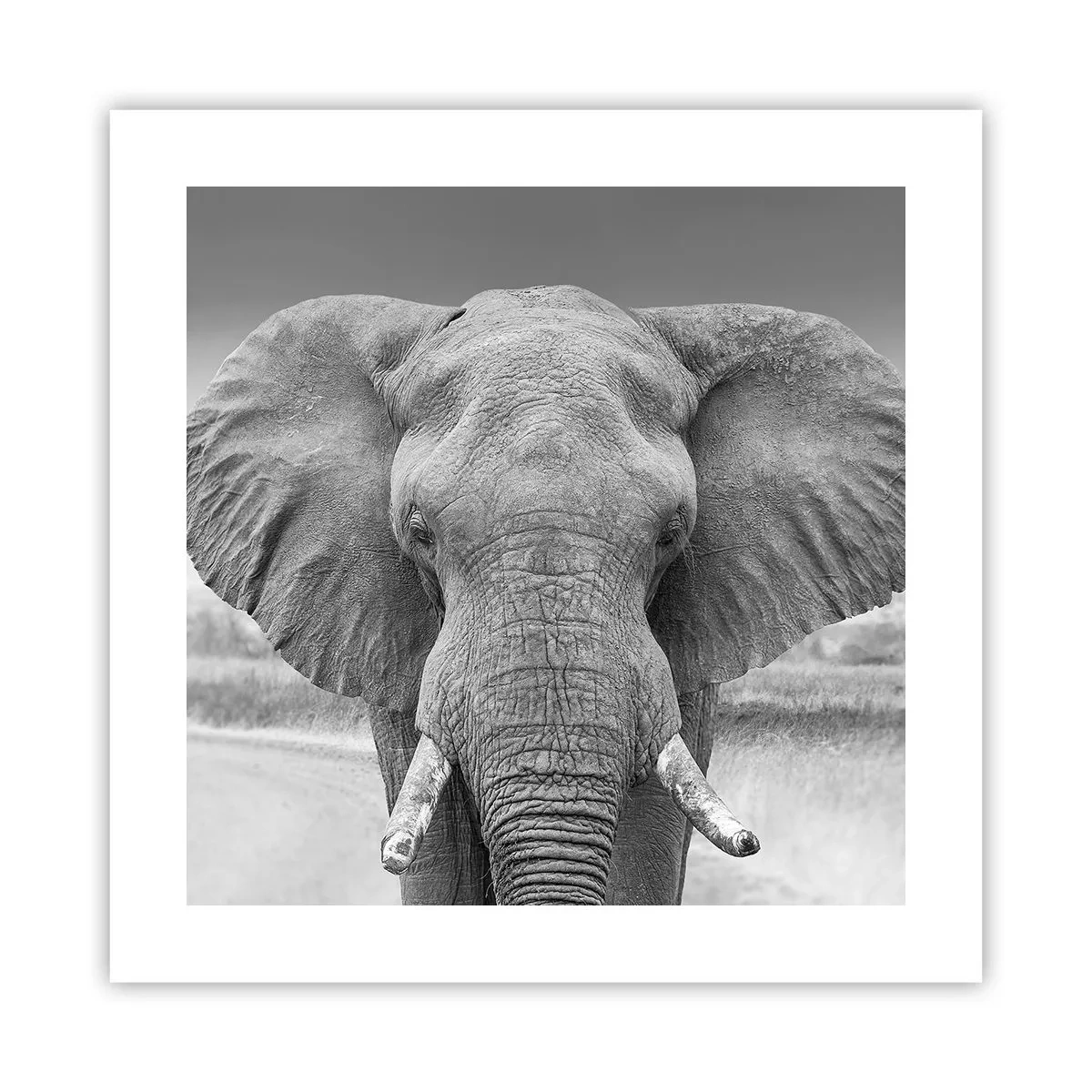 Poszter - Üdv a világomban - 40x40 cm